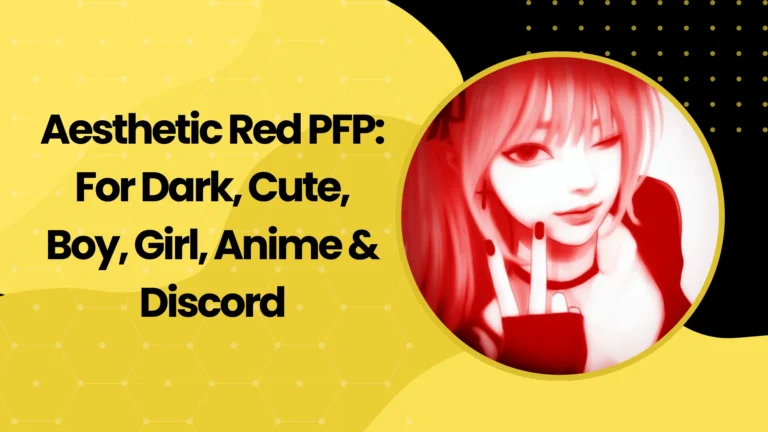 Aesthetic Red PFP