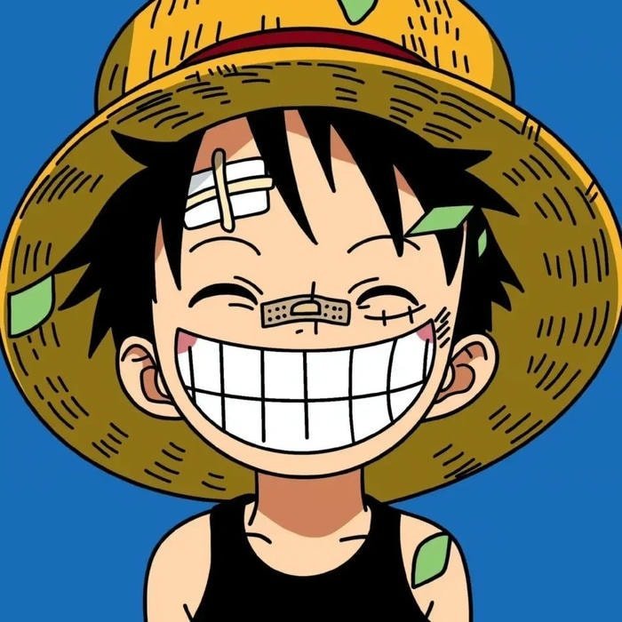 Funny One Piece PFP