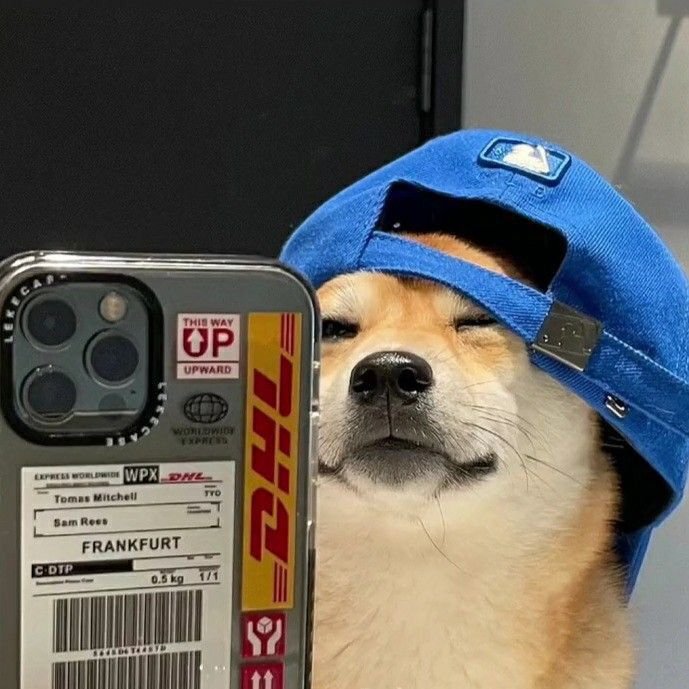 Dog PFP Pinterest