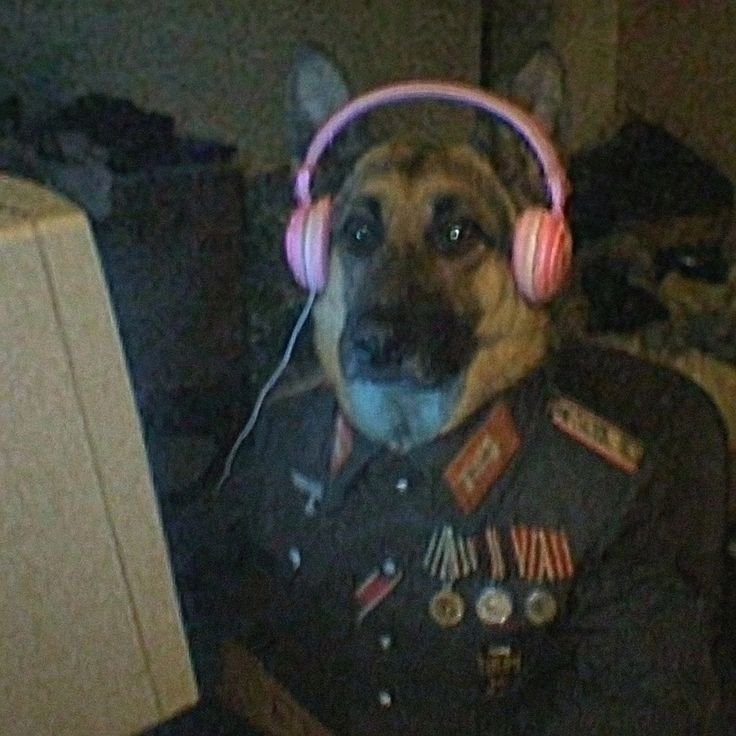 Furry PFP For Discord