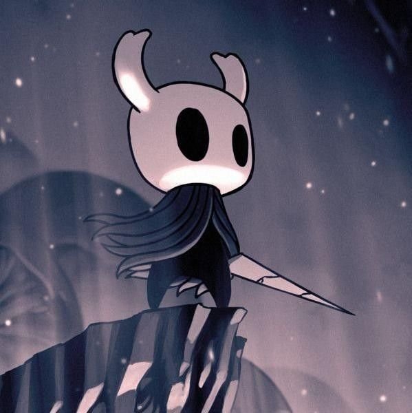 Hollow knight pfp cute