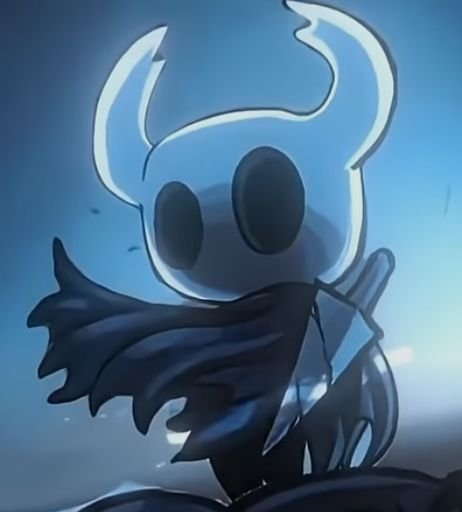 Hollow knight pfp pinterest