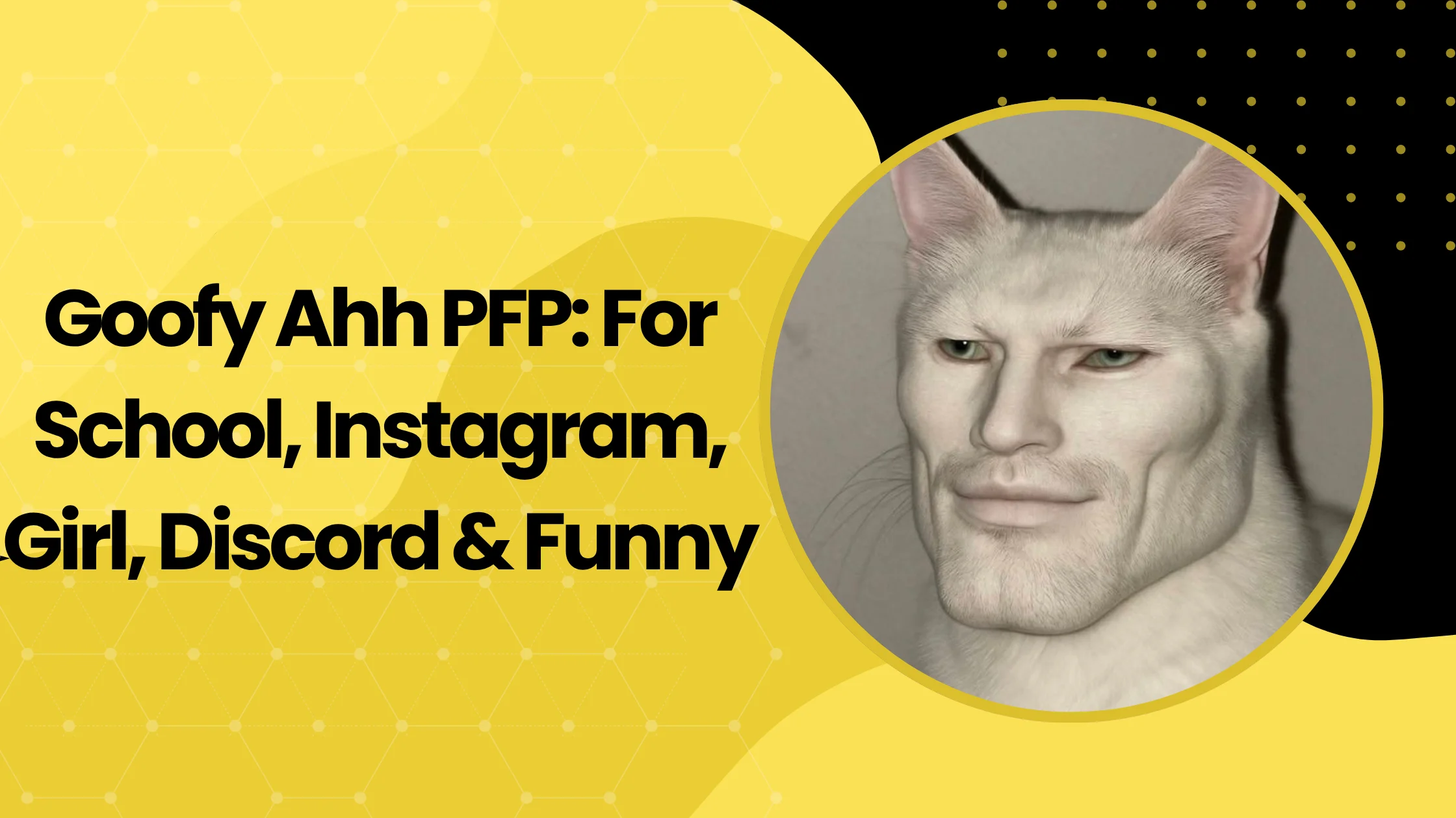 Goofy Ahh PFP