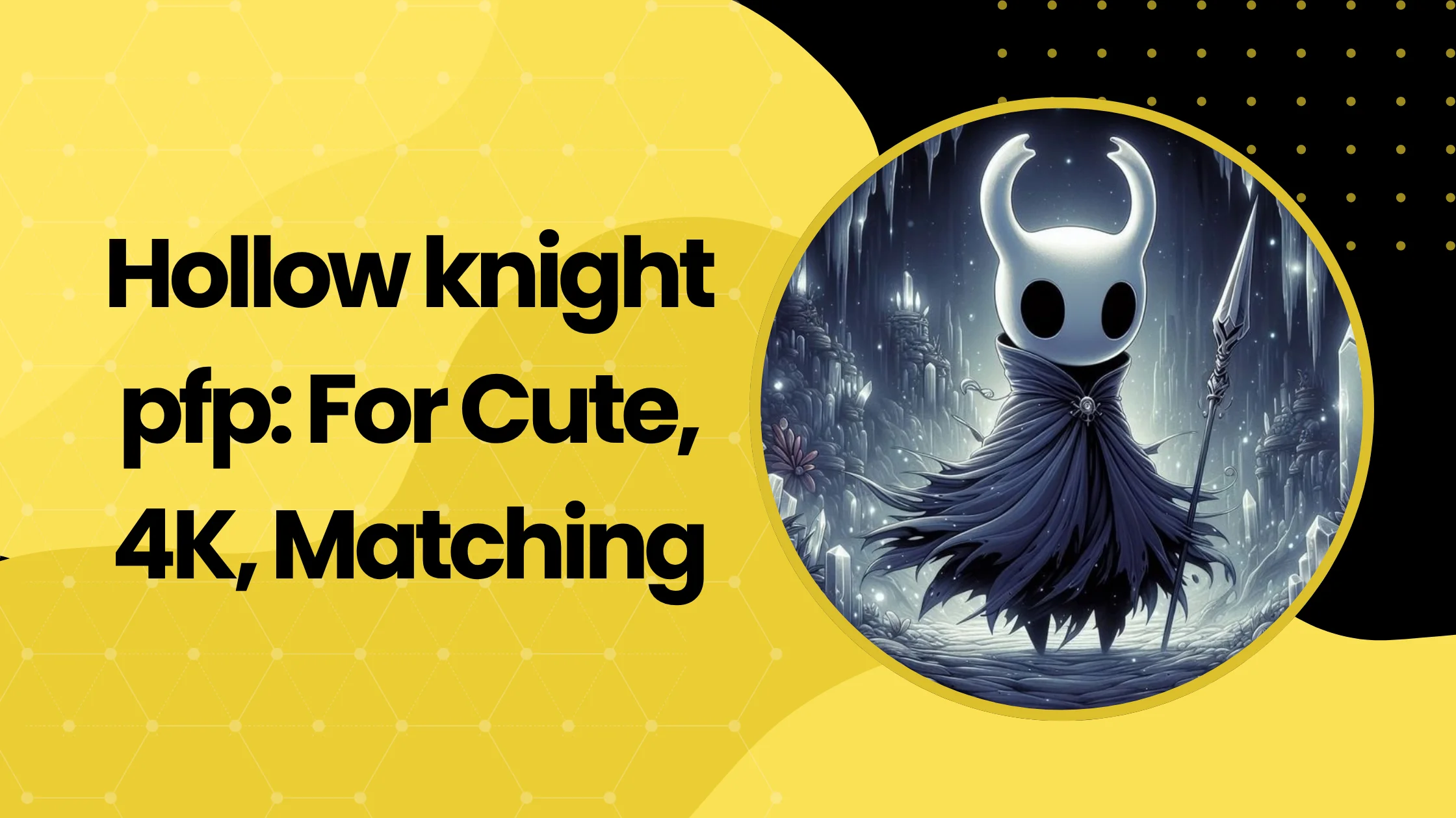Hollow knight pfp