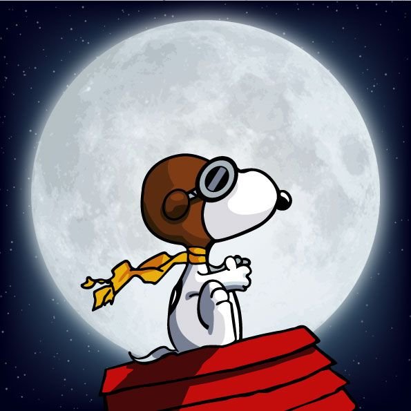 Snoopy PFP Pinterest Style