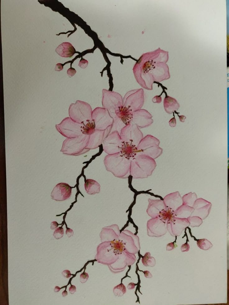 Aesthetic Flower Drawing