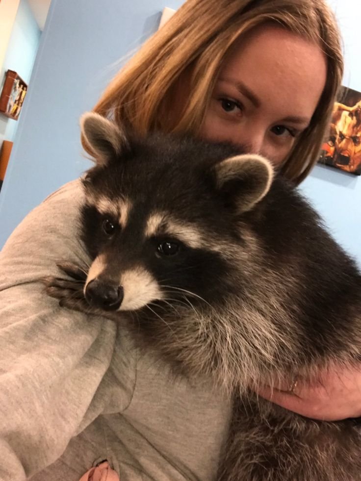 Aesthetic Raccoon PFP Girl