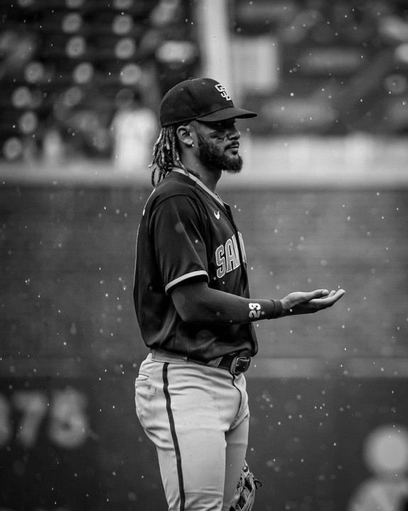 Baseball PFP Black And White