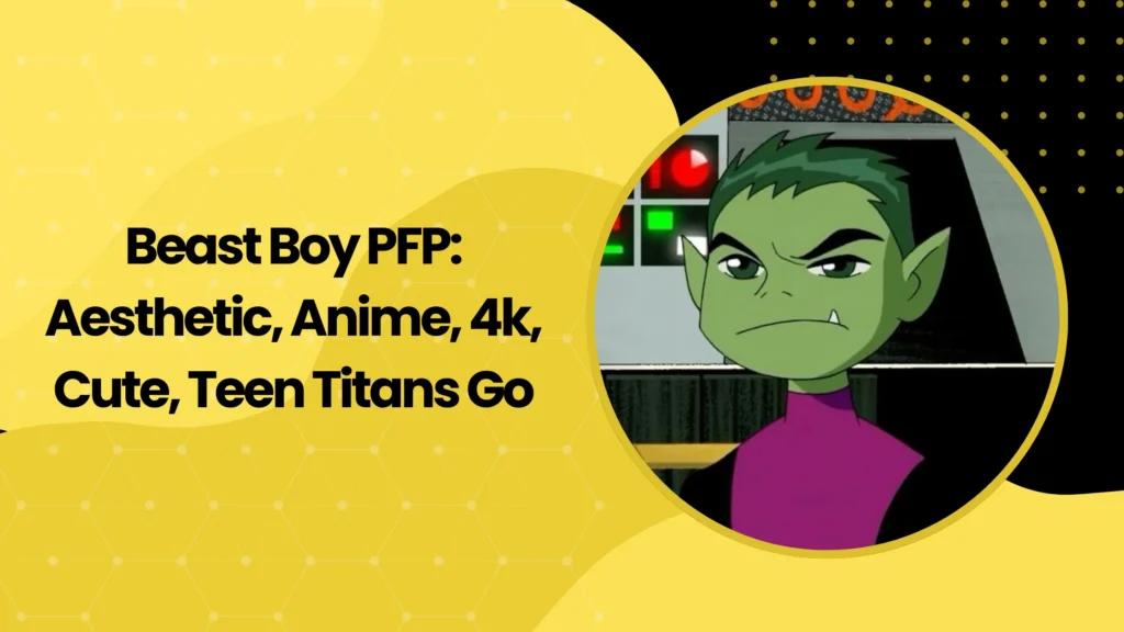 Beast Boy PFP