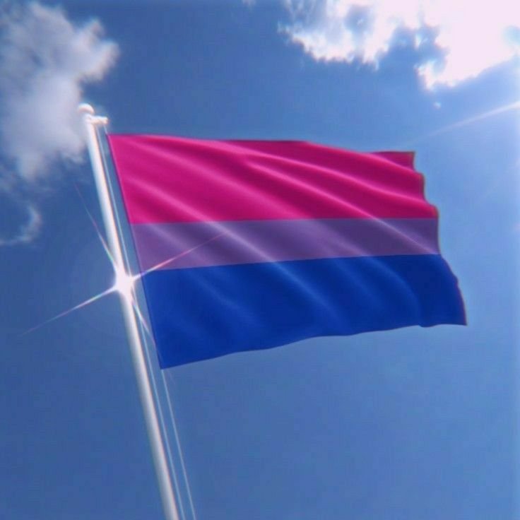 Bisexual Flag PFP