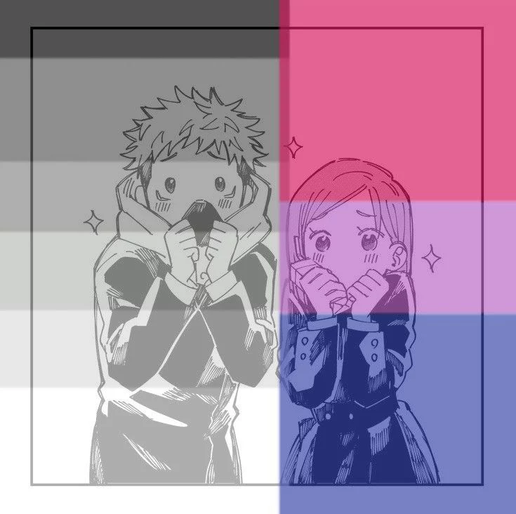 Bisexual Matching PFP