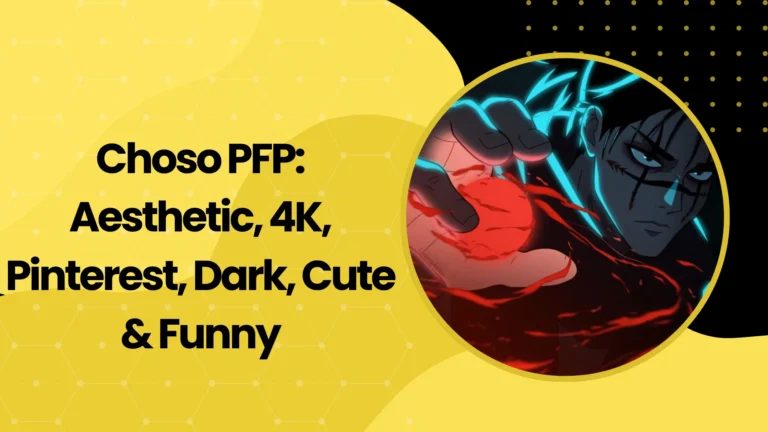 Choso PFP