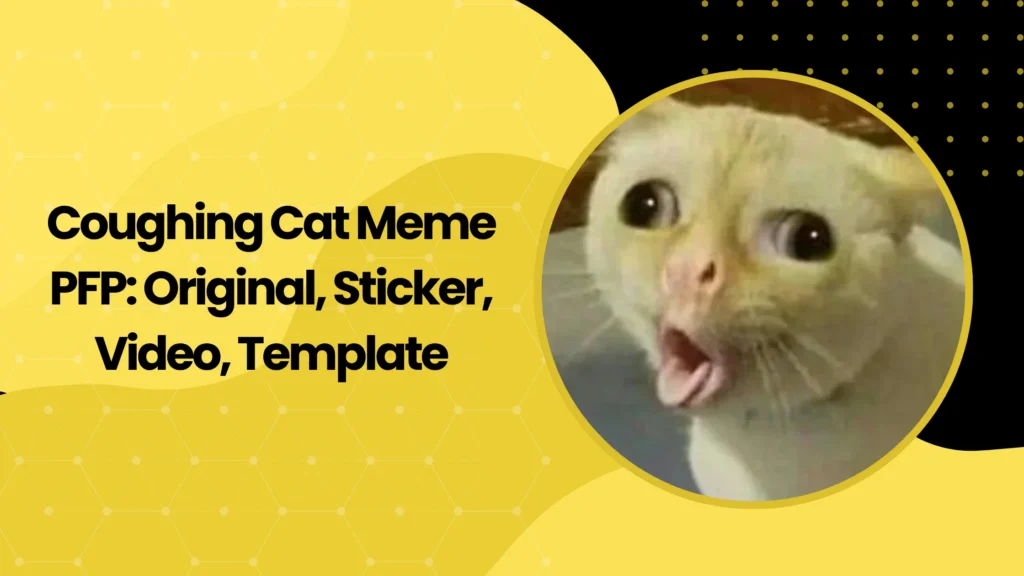 Coughing Cat Meme PFP