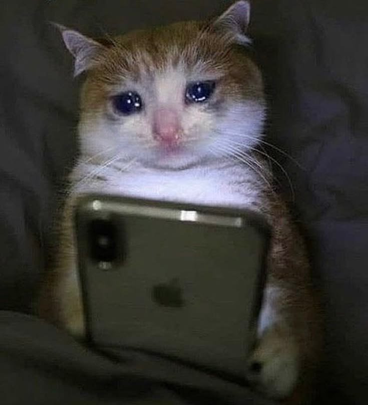 Coughing Cat Meme PFP Silly