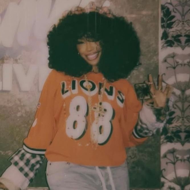 Cute SZA PFP