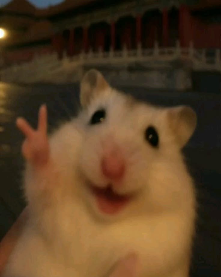 Cute Silly PFP