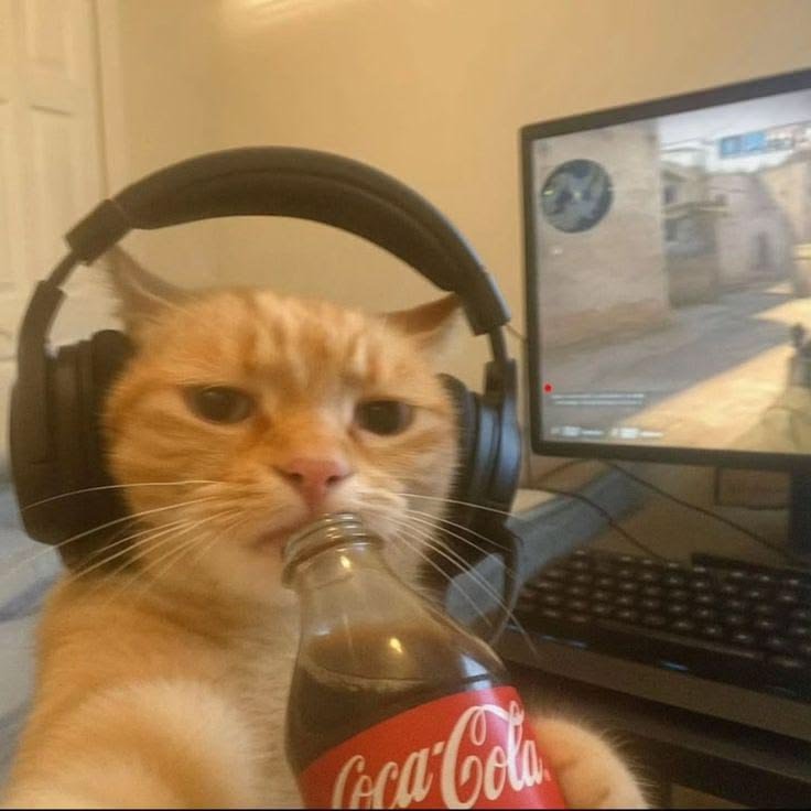 Cute Silly PFP