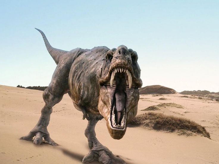 Dinosaur PFP Angry