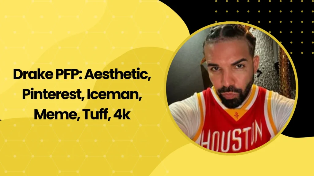 Drake PFP