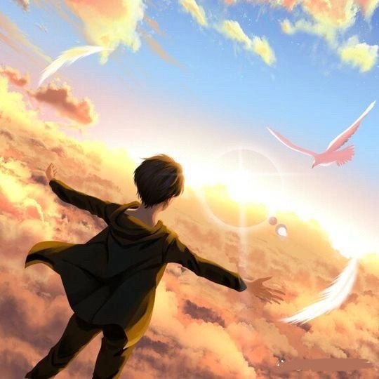 Eren PFP Freedom