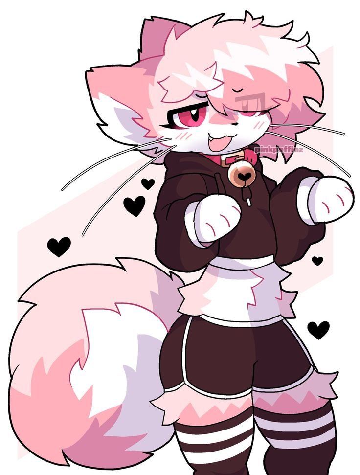 Furry Femboy PFP