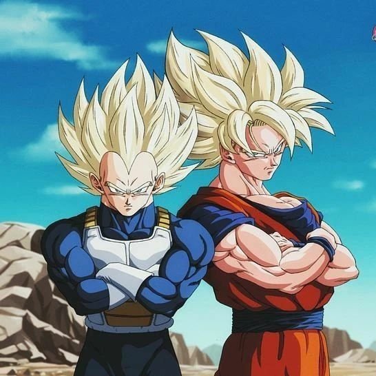 Goku And Vegeta PFP