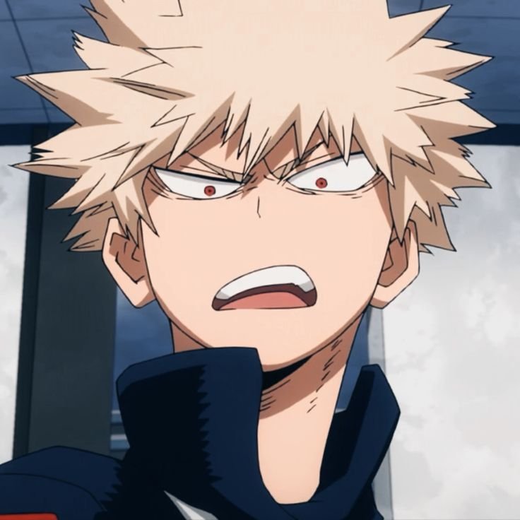 Katsuki Bakugou PFP Cute
