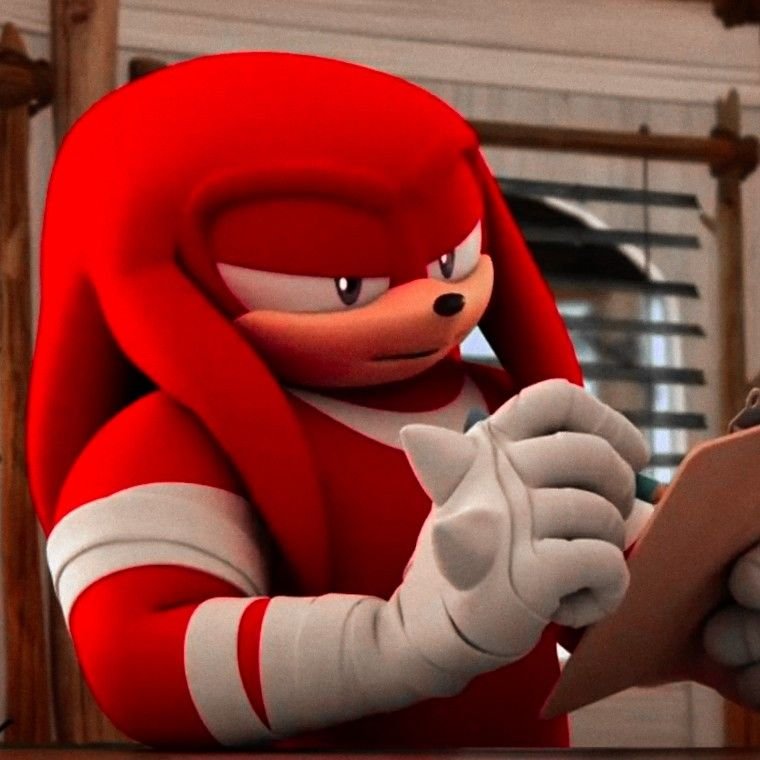 Knuckles PFP Funny