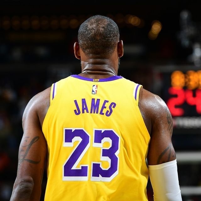 LeBron PFP NBA