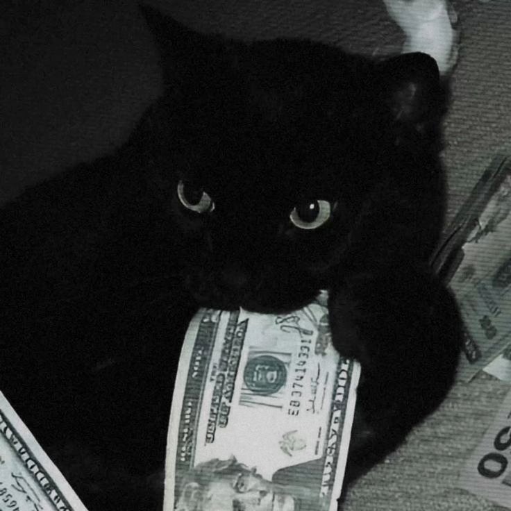 Money PFP Dark