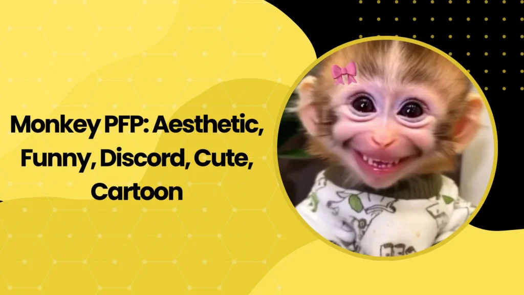 Monkey PFP