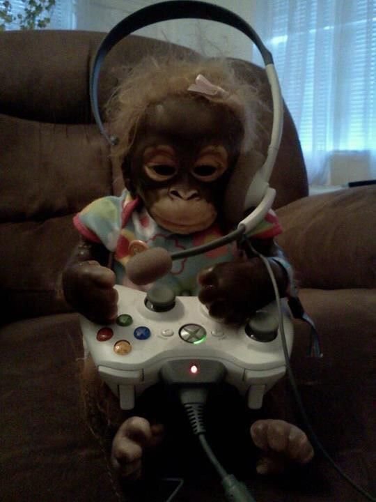 Monkey PFP Xbox