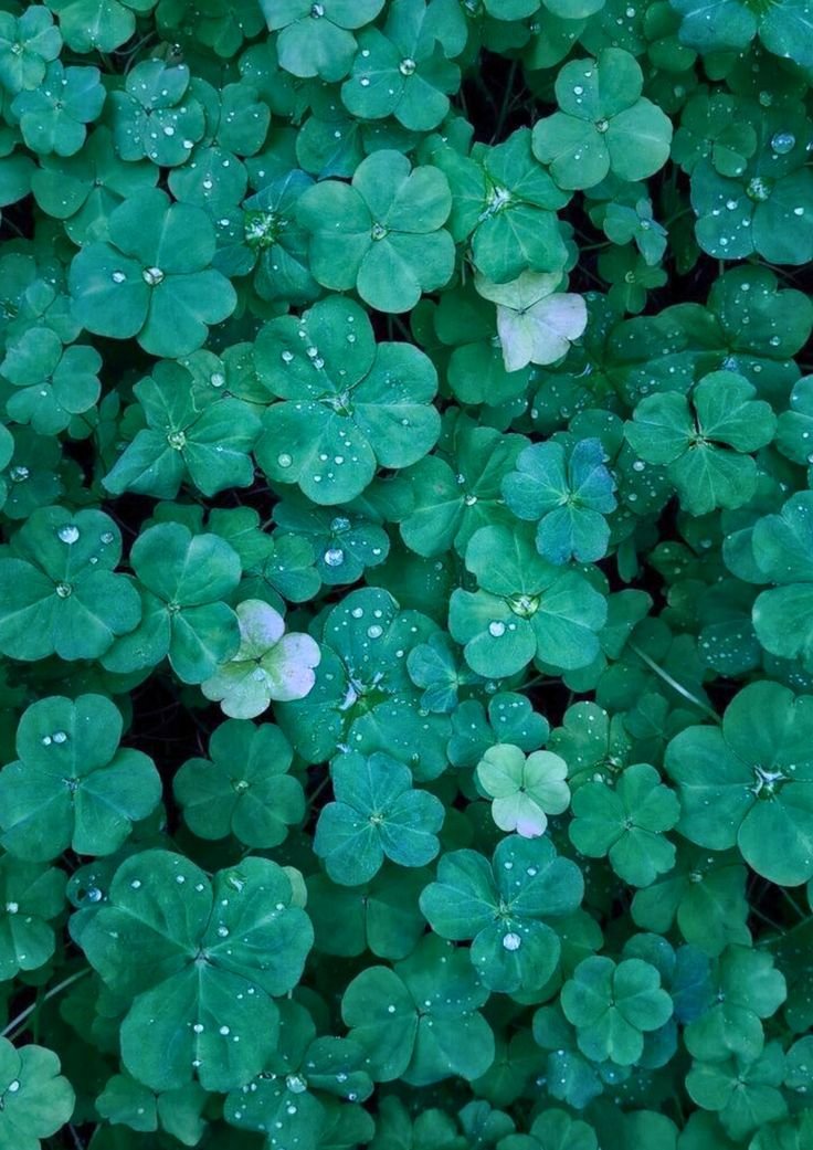 Neon Green PFP