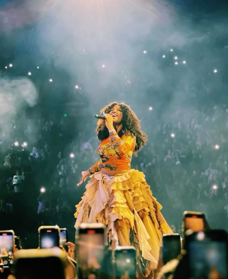 SZA PFP Concert