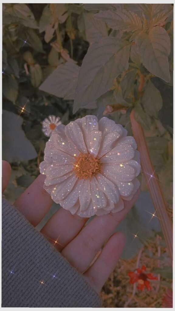 Soft Aesthetic Flower PFP