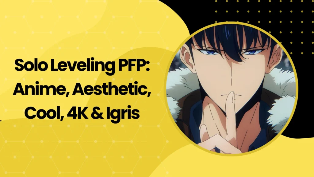Solo Leveling PFP