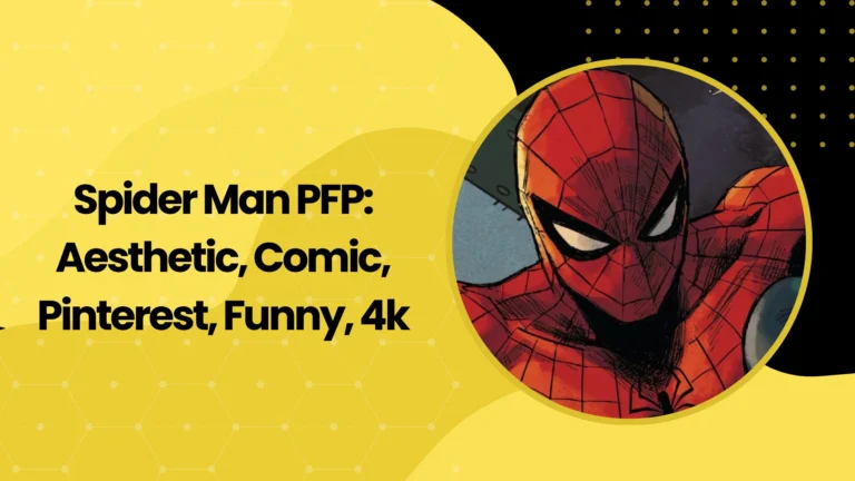 Spider Man PFP