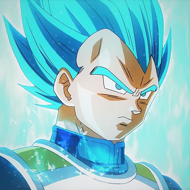 Vegeta Blue PFP