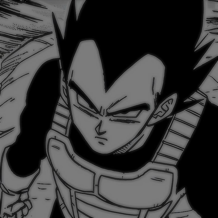 Vegeta PFP Black And White
