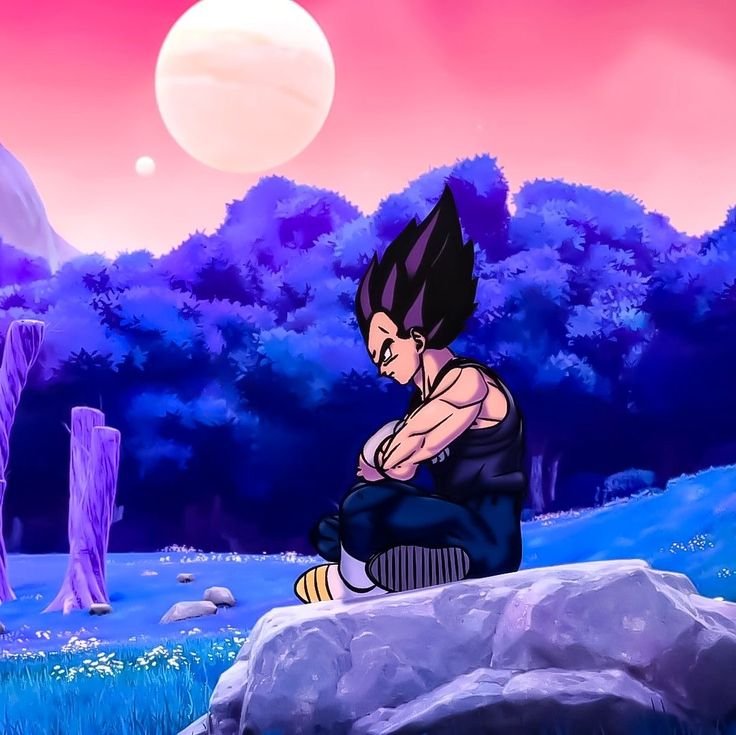 Vegeta PFP Discord