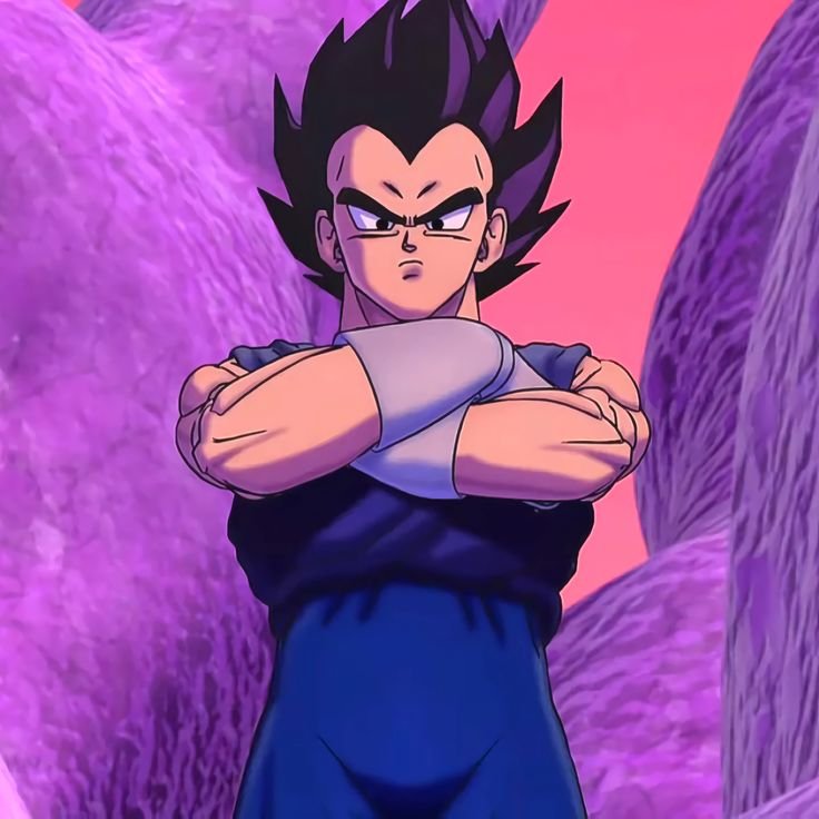 Vegeta PFP Discord
