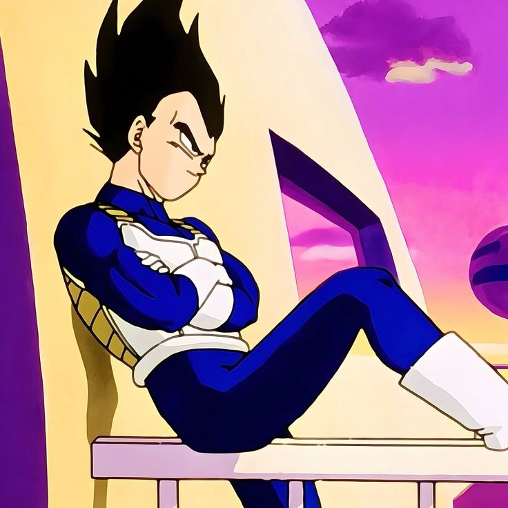Vegeta PFP HD