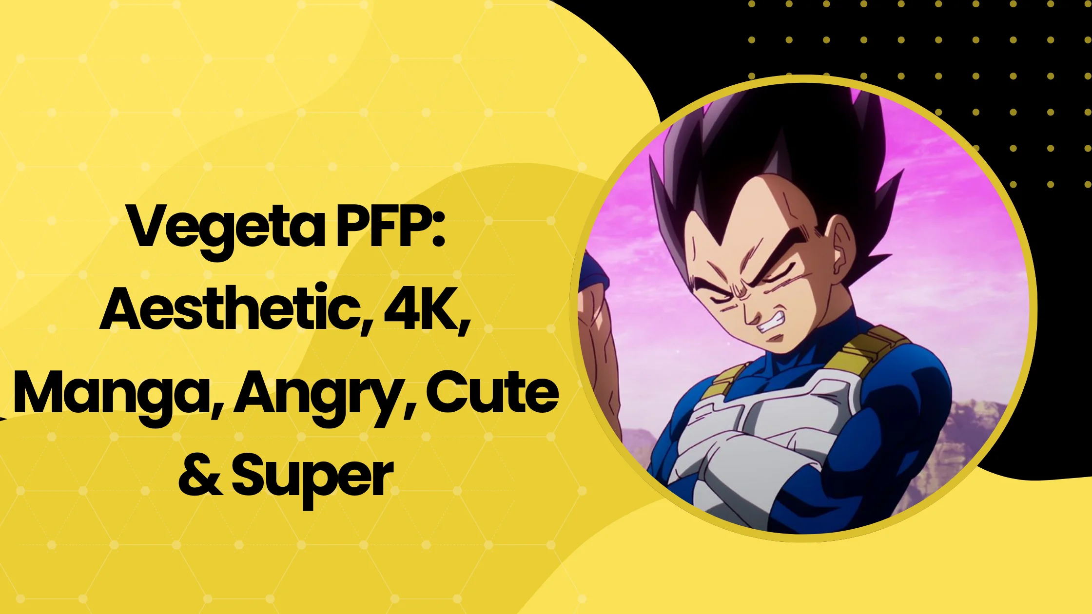 Vegeta PFP