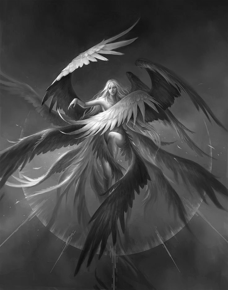White Angel PFP