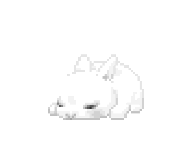 White Screen PFP For Instagram