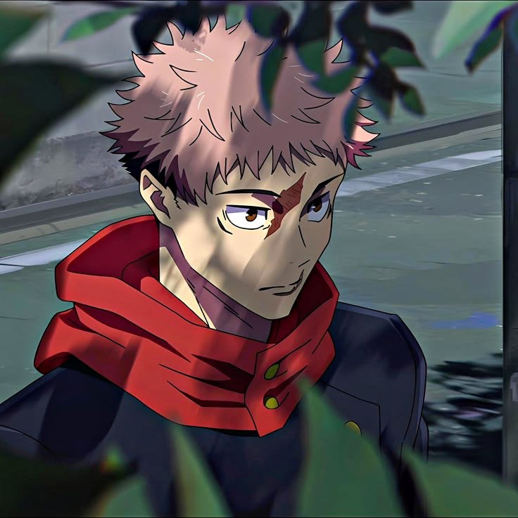 Yuji PFP JJK